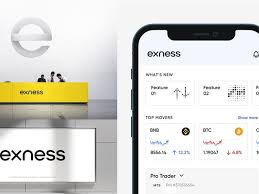 Everything You Need to Know About Exness Mt4 Demo Account Everything You Need to Know About Exness Mt4 Demo Account